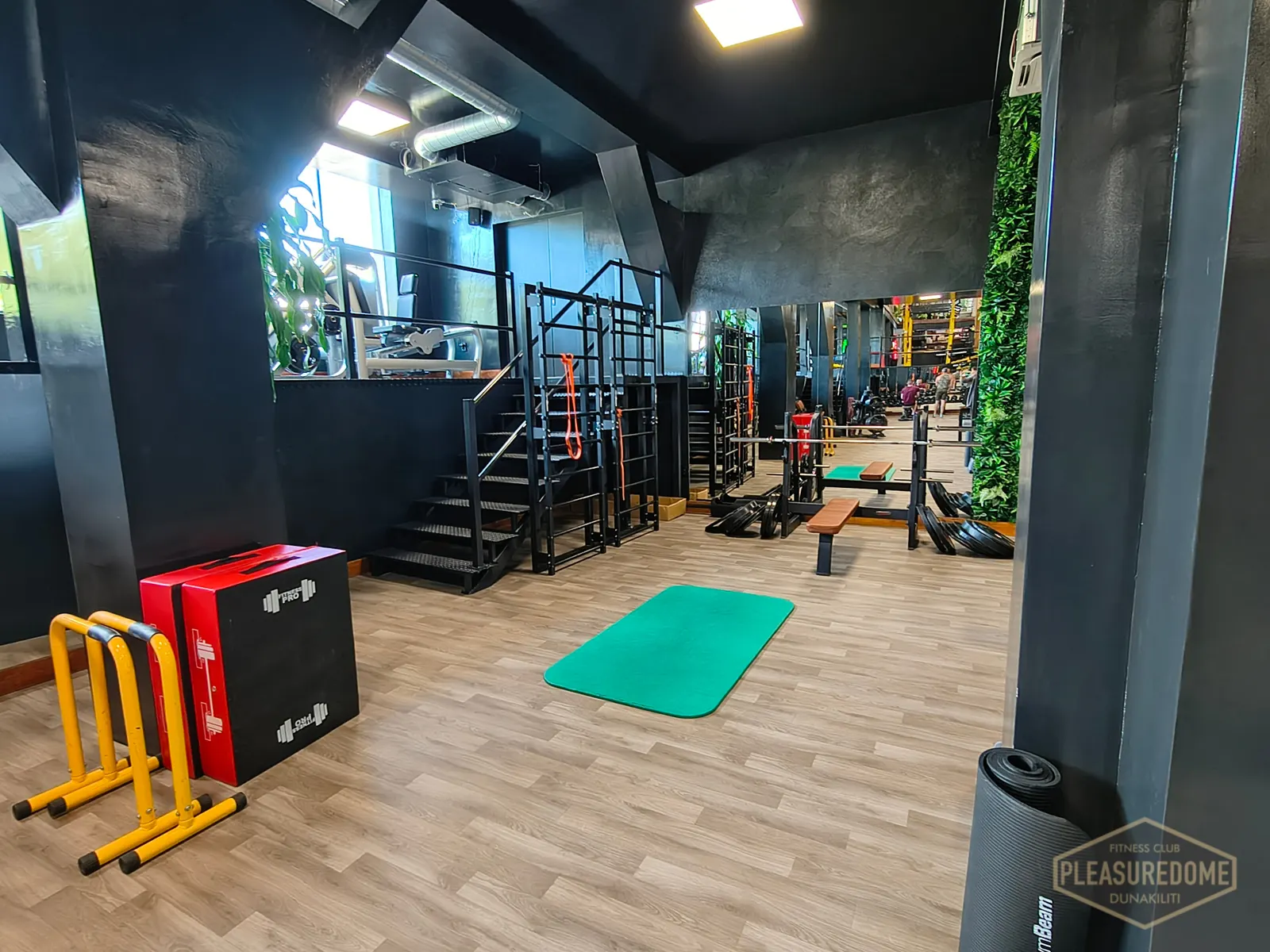 Funkcionális edzőzóna plyo boxokkal, parallettesszel és élő növényfallal a Pleasuredome-ban